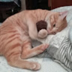 Meet your Posher, Ximena